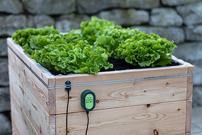 snailstop electric slug and snail fence around a wooden raised bed garden