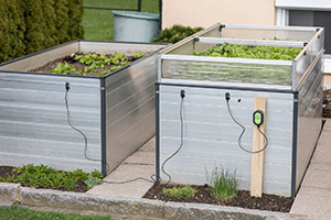 snailstop electric slug and snail fence connected to multiple raised garden beds
